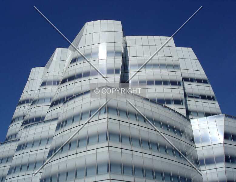 Photo 465-017-829