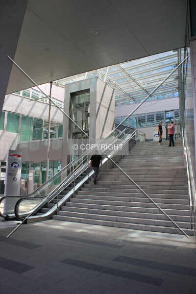 Photo 466-157-242