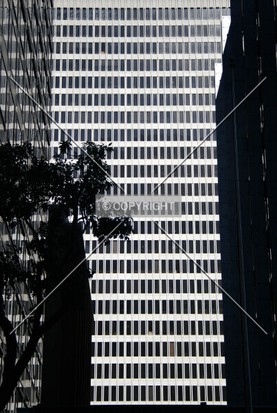 Photo 469-208-971