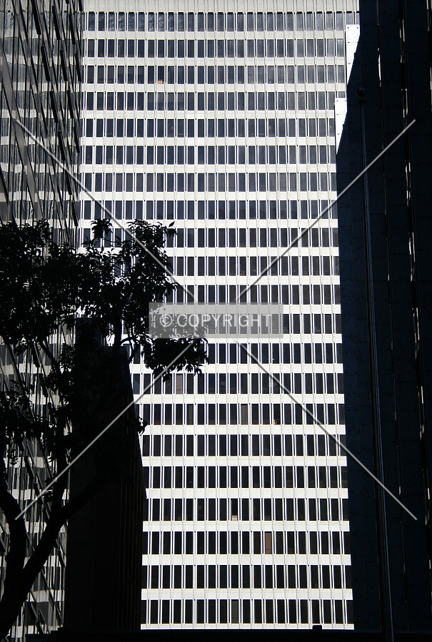 South facade windows