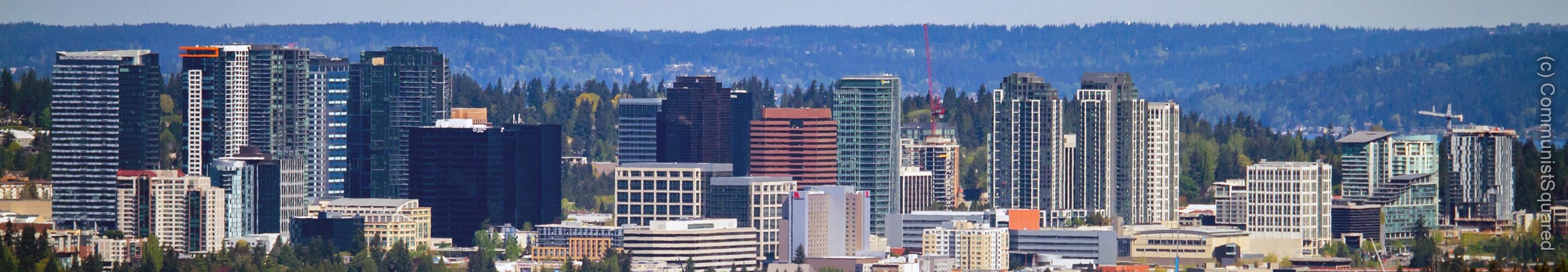 Panorama of Bellevue