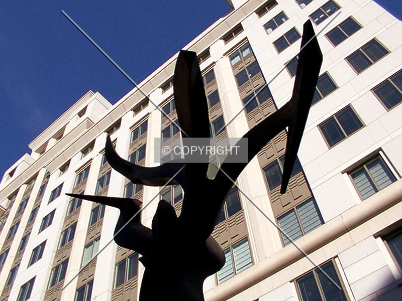 Photo 470-459-983