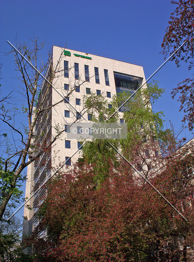 View from the park in the back
