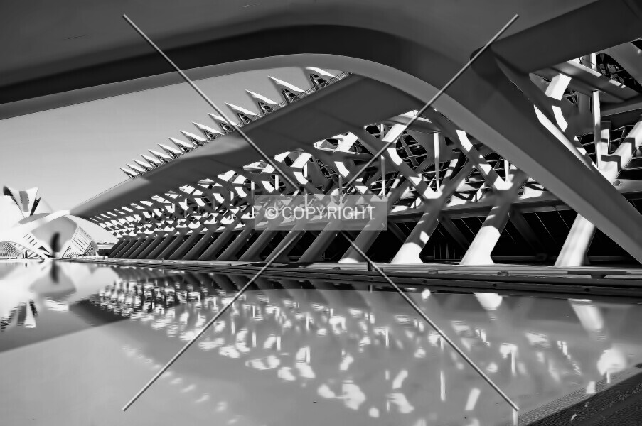 Photo 472-190-290
