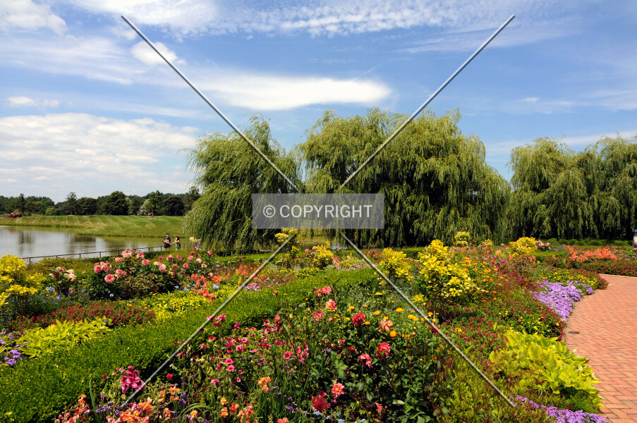 Photo 472-823-763