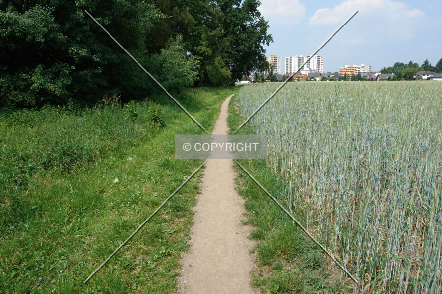 Photo 473-254-224