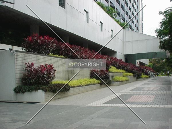 In front of the building