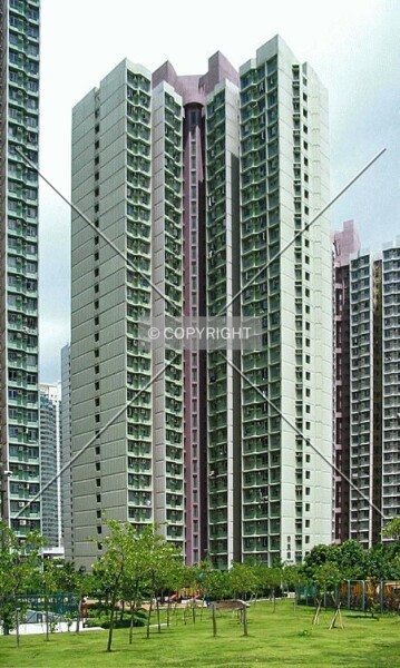 Photo 479-102-812