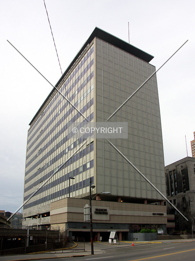 View from the north