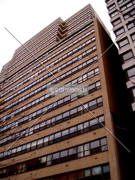 Photo 479-203-858
