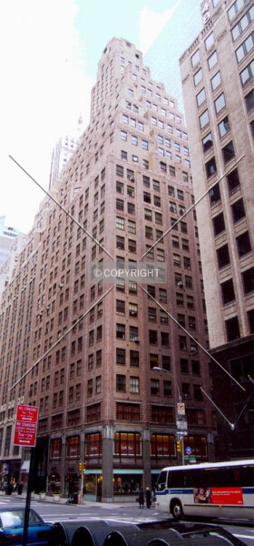 Photo 481-523-544