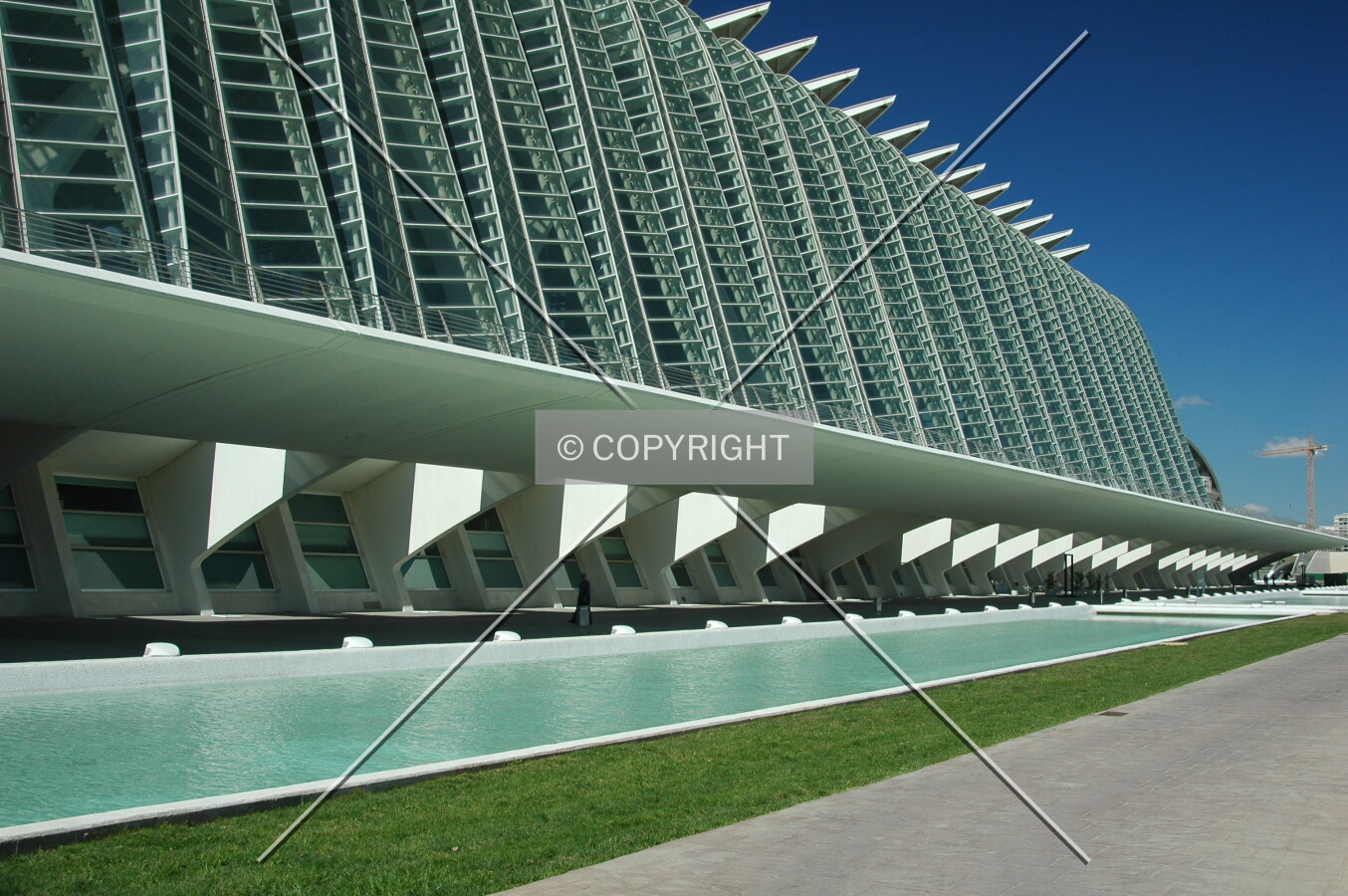 Photo 481-736-269
