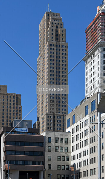 Photo 483-100-597