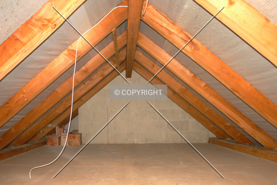 Photo 483-435-679