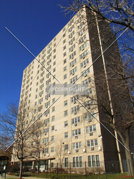 Photo 484-236-828