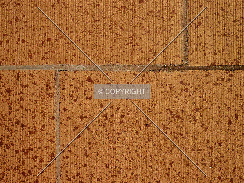 Photo 484-429-348