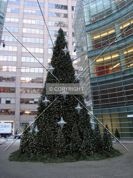 Photo 485-171-355