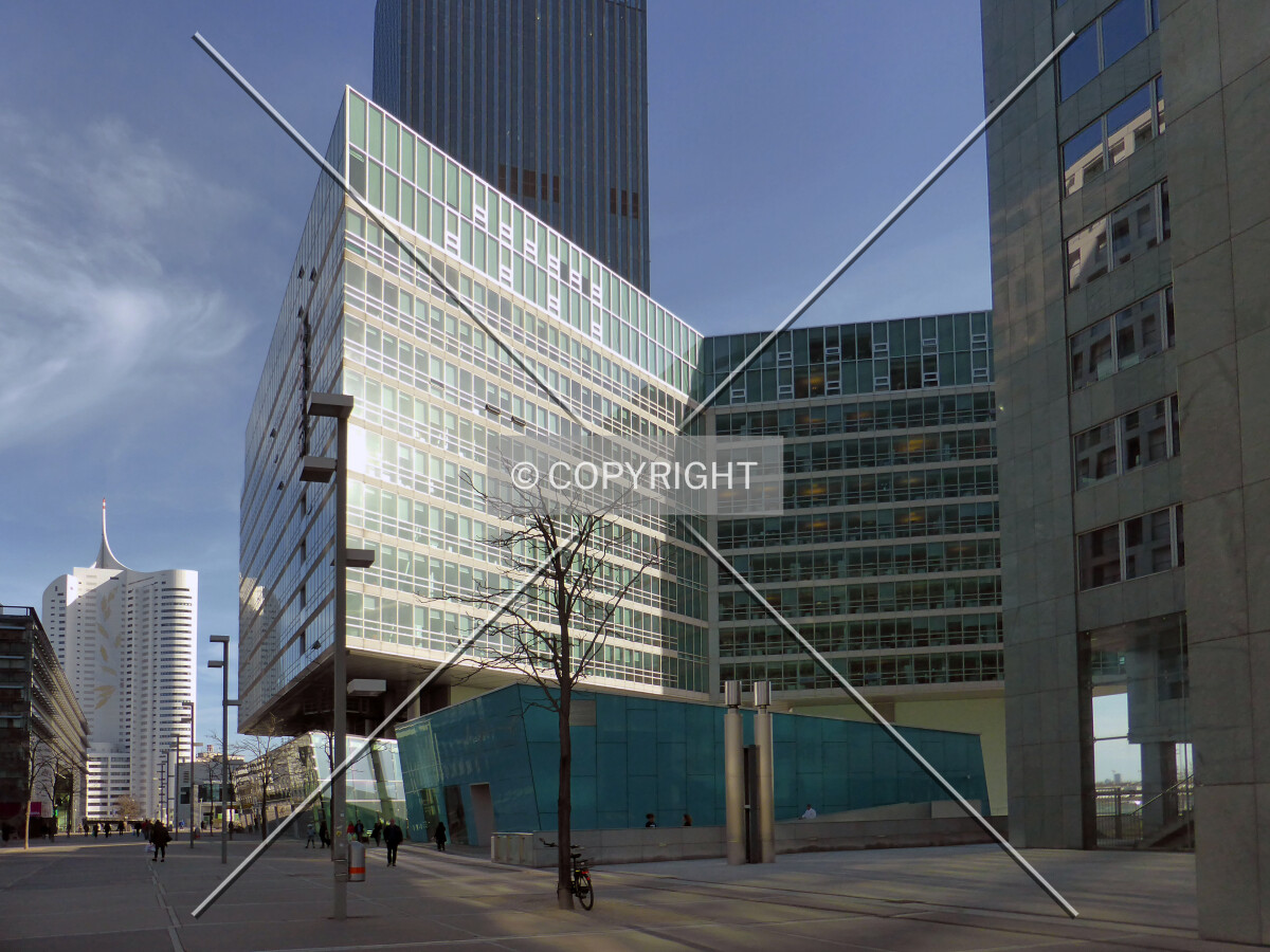 Photo 486-027-713