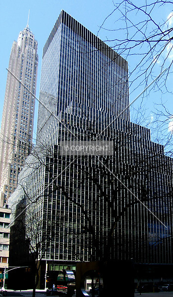 Photo 486-031-035