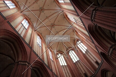 Photo 486-395-472