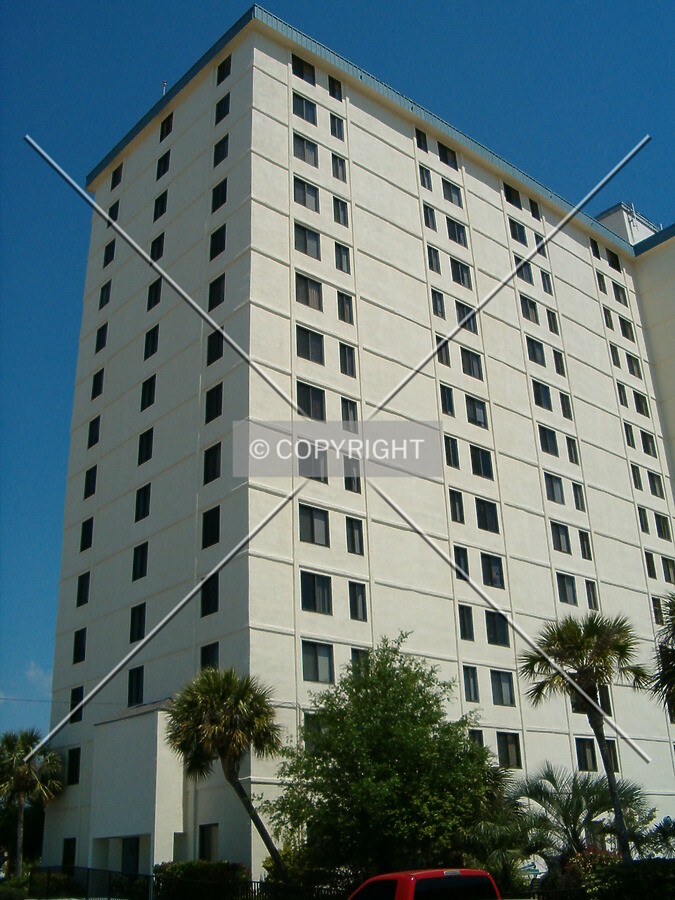 View from Government Street