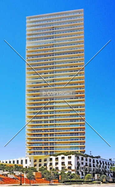 Photo 488-999-445