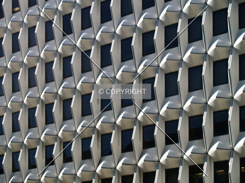 Photo 490-478-818