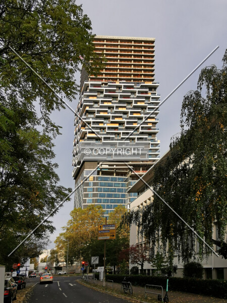 Photo 500-293-845