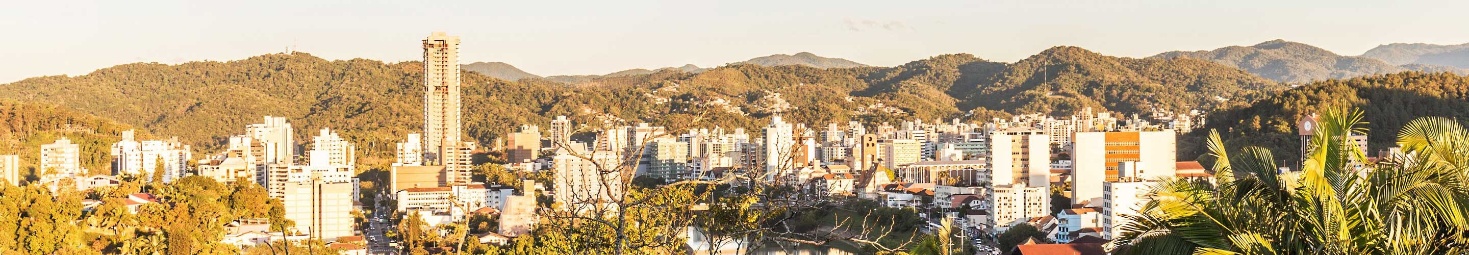 Panorama of Blumenau