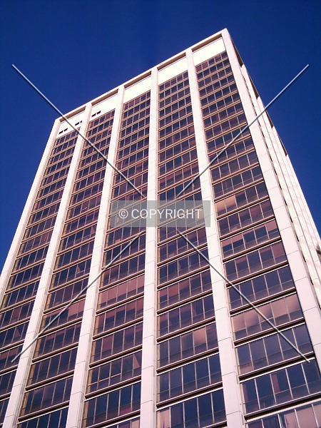 Photo 491-782-228