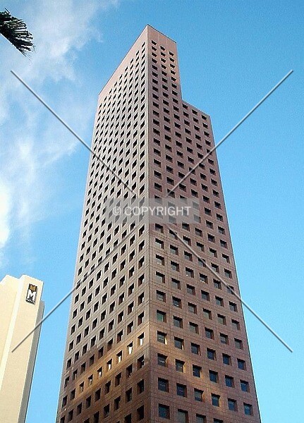 Photo 492-449-657
