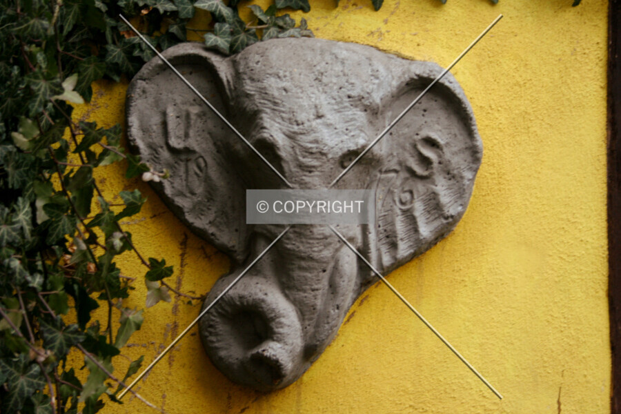 Photo 492-572-499