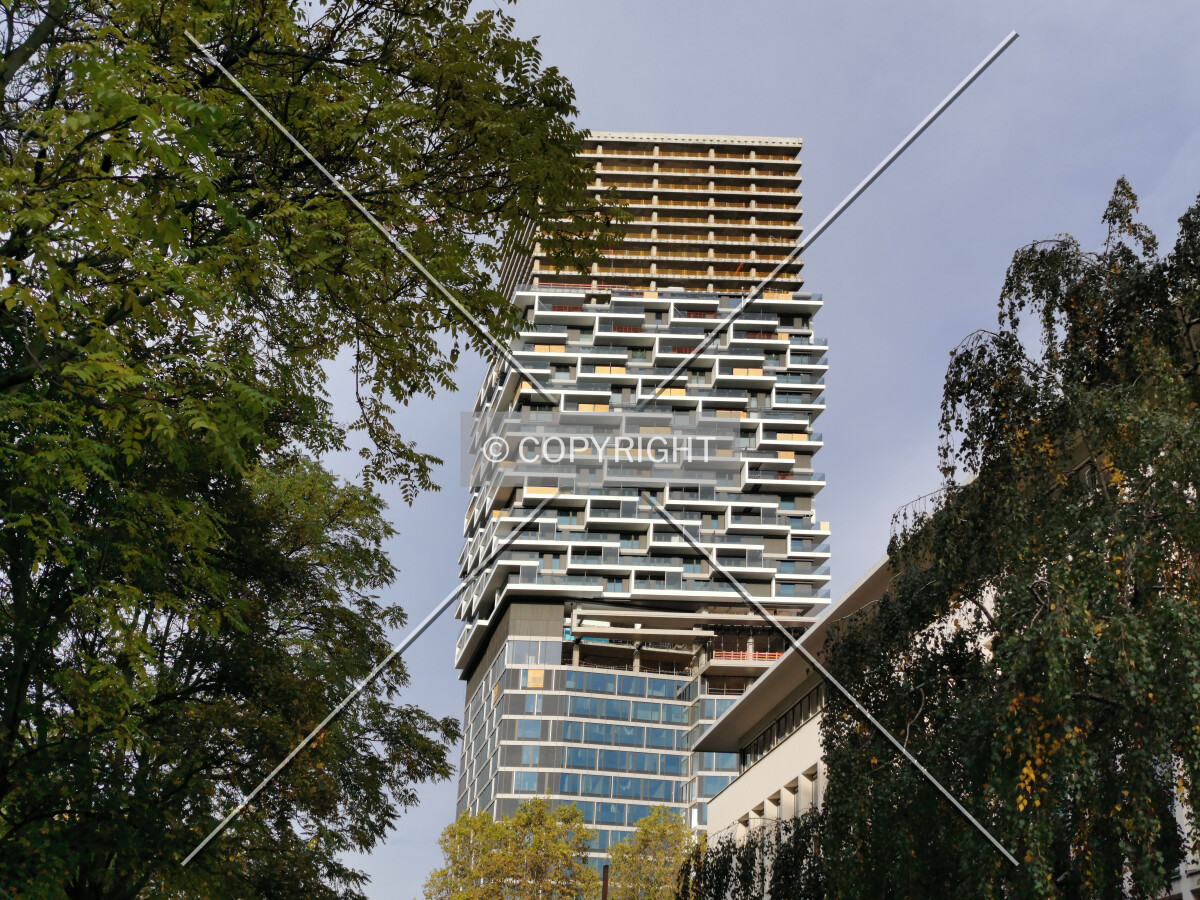 Photo 463-379-881