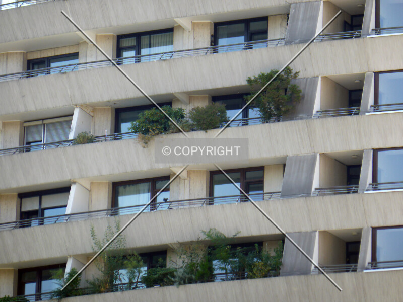 Photo 494-897-825