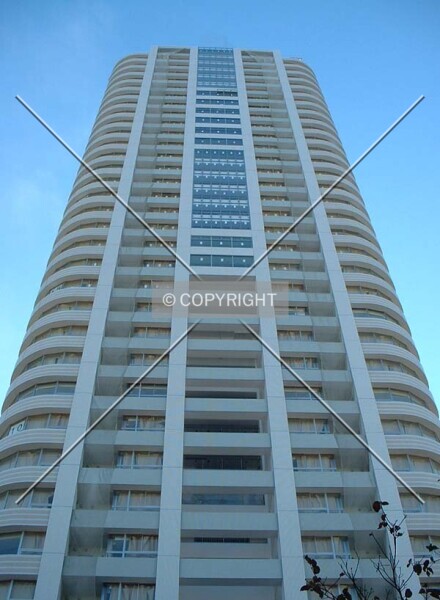 Photo 495-261-786