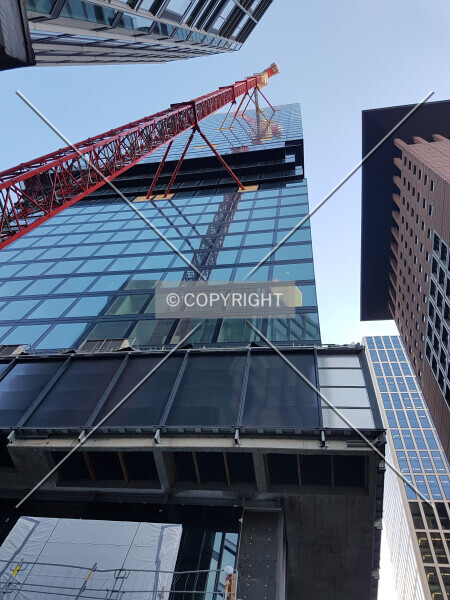 Photo 495-793-217