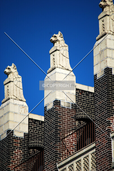 Photo 496-130-516