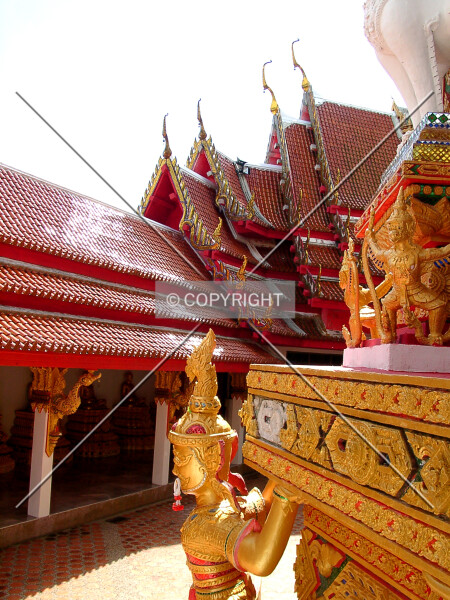 Photo 498-249-768