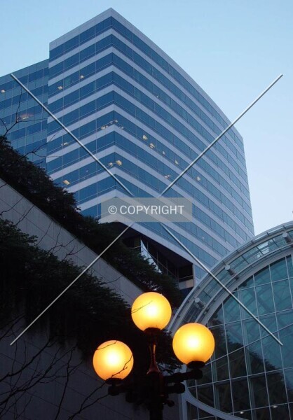 Photo 498-282-734