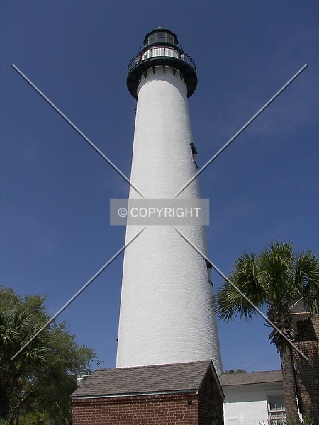 Photo 501-313-110