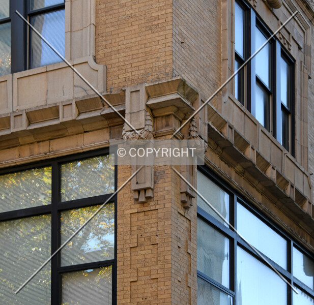 Photo 504-031-377