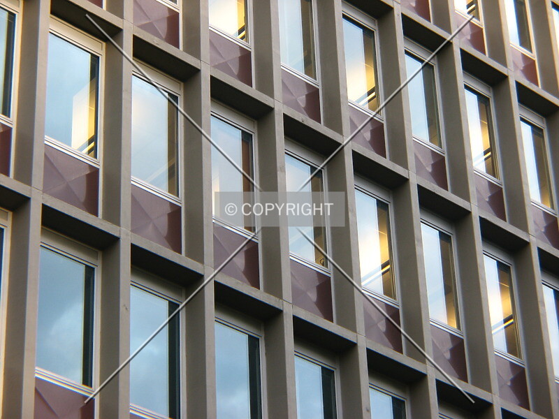 Photo 505-250-432
