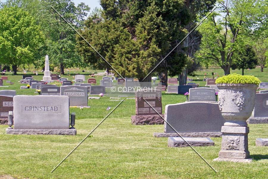Photo 506-146-907