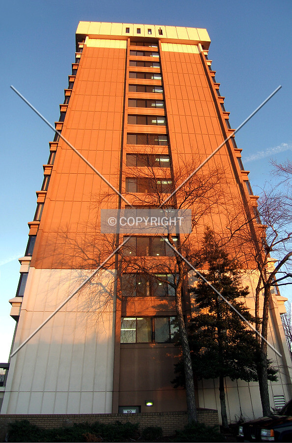 View from the west