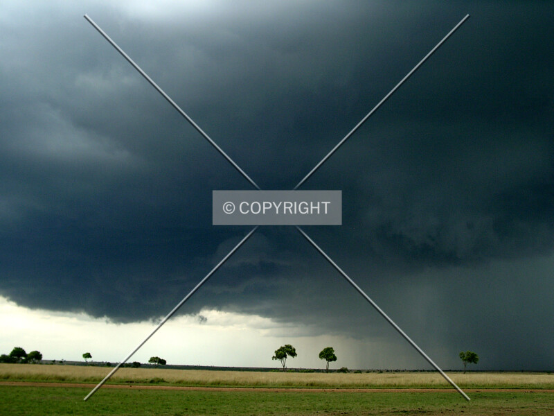 it is starting to rain in the steppe in africa