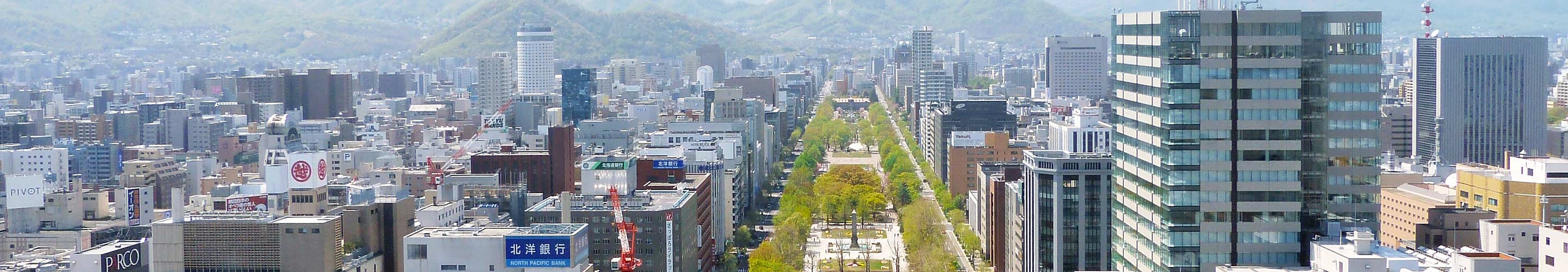 Panorama of Sapporo