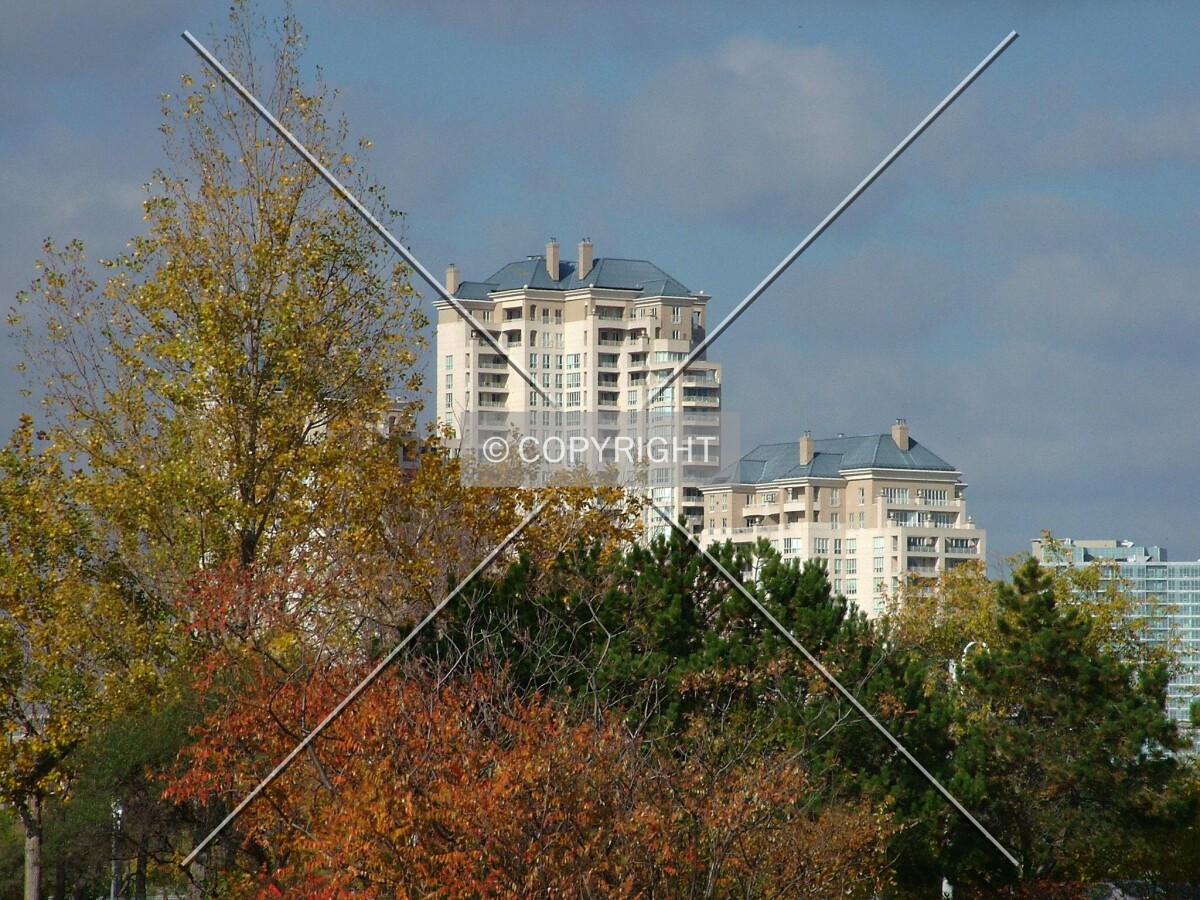 Top floors peeking over the trees