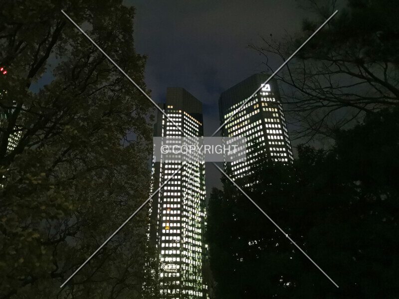 515-466-559
