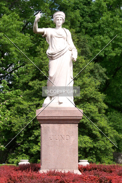 Photo 516-176-754