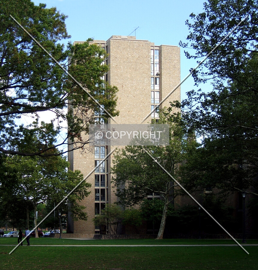 View from the southwest